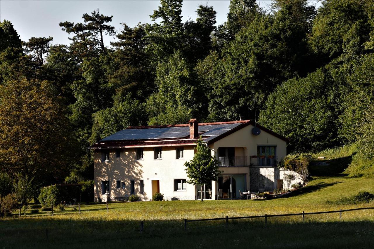 Guesthouse Idila Pod Nanosom Senozece Exteriér fotografie