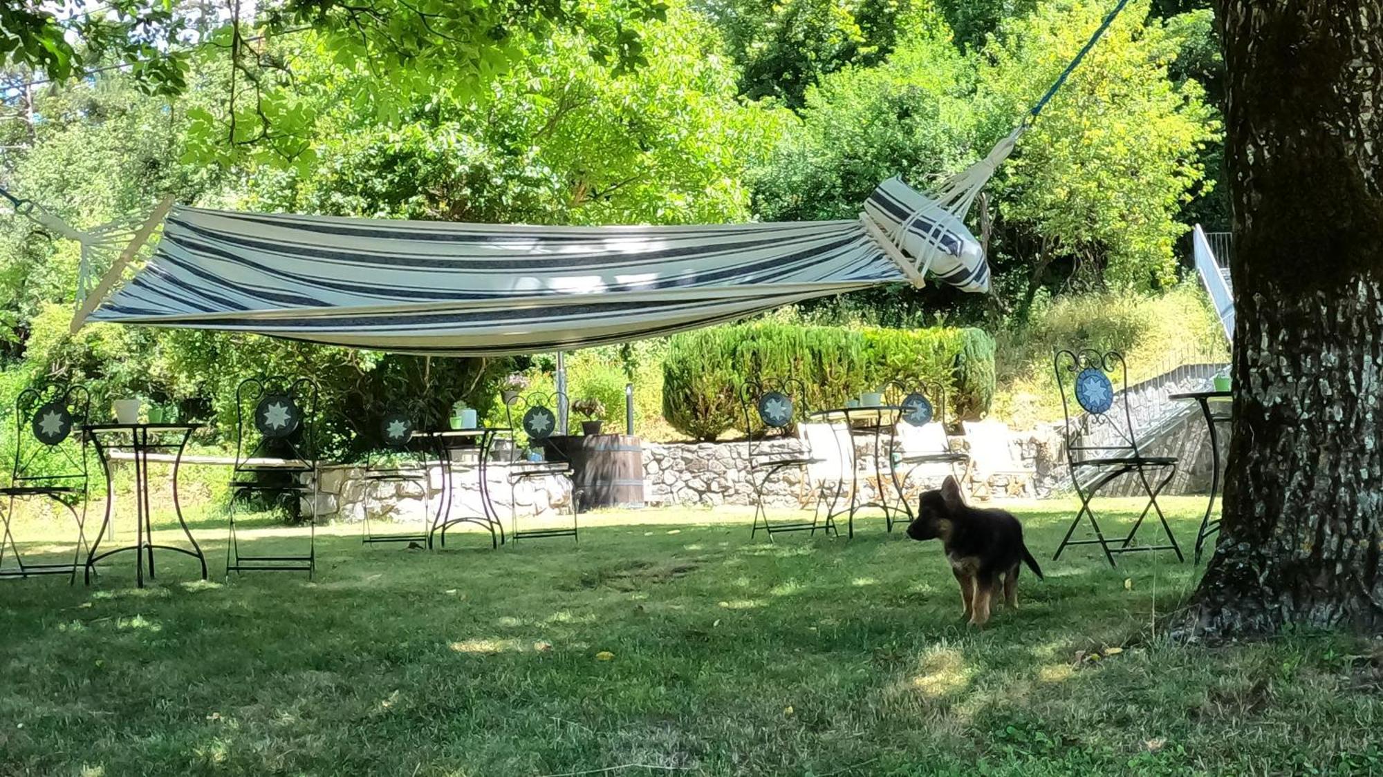 Guesthouse Idila Pod Nanosom Senozece Exteriér fotografie