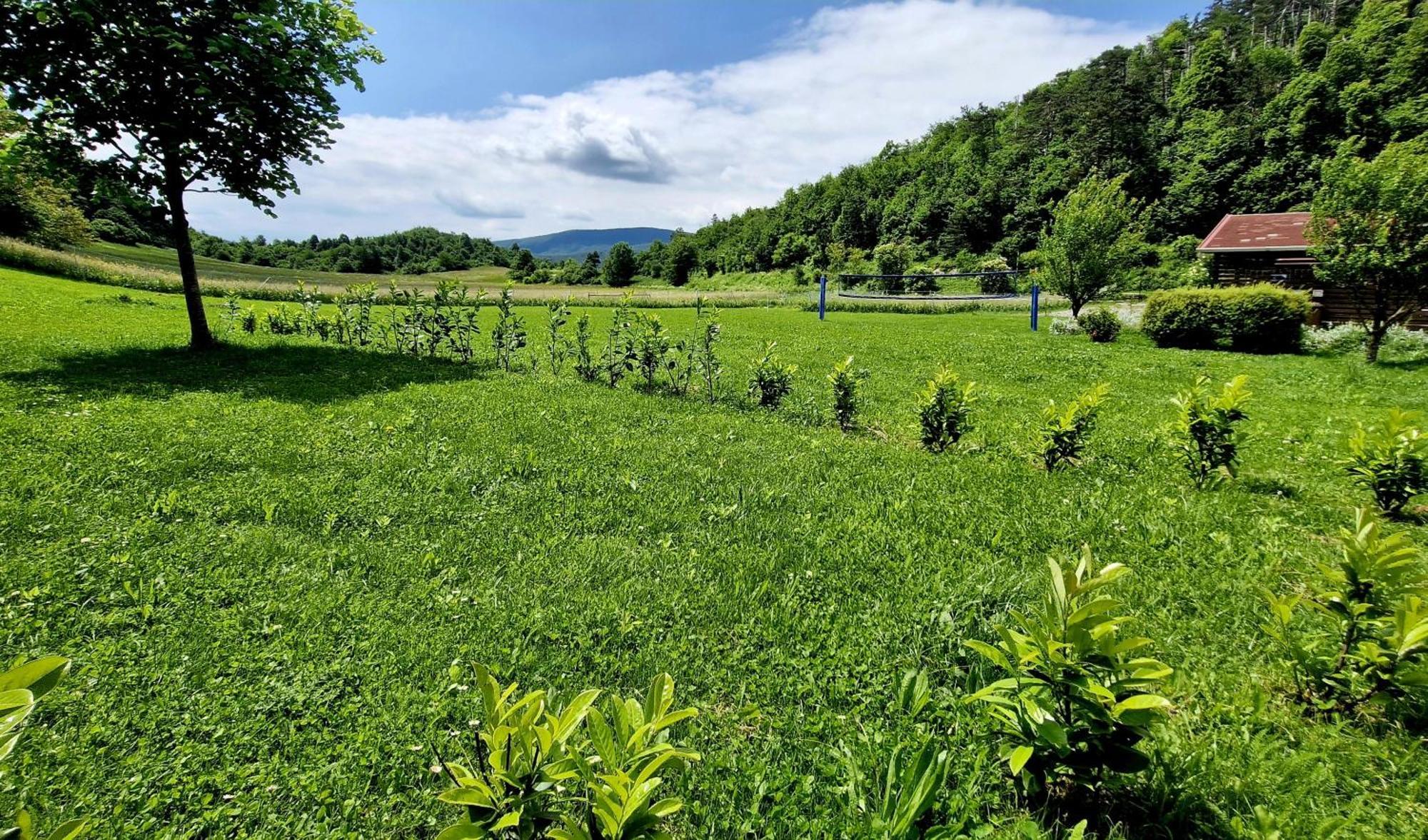 Guesthouse Idila Pod Nanosom Senozece Exteriér fotografie